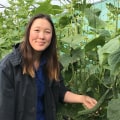 The Benefits of Organic Farming in Western Sydney