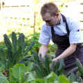 The Best Farmers Markets in Western Sydney: Supporting Local and Sustainable Agriculture