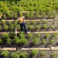 A Comprehensive Look at Permaculture: Sustainable Farming Practices in Western Sydney