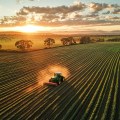Practices for Soil Health: A Guide to Sustainable Farming in Western Sydney
