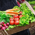 10 Tips for Growing Organic Produce in Western Sydney