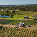 Exploring Farm-to-School Programs in Western Sydney: Supporting Local Communities and Sustainable Farming