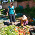 Designing a Permaculture Farm in Western Sydney: A Sustainable and Local Option for Fresh Produce