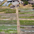 A Comprehensive Look into Regenerative Agriculture