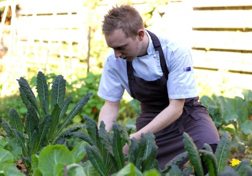 The Best Farmers Markets in Western Sydney: Supporting Local and Sustainable Agriculture
