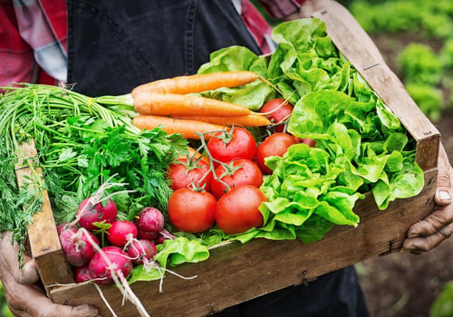 10 Tips for Growing Organic Produce in Western Sydney