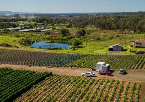 Exploring Farm-to-School Programs in Western Sydney: Supporting Local Communities and Sustainable Farming