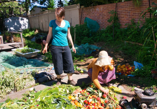 Designing a Permaculture Farm in Western Sydney: A Sustainable and Local Option for Fresh Produce